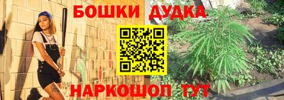 кокс Нальчик