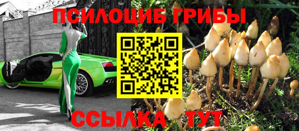 Галлюциногенные грибы мицелий  Вход с VPN  Ульяновск 