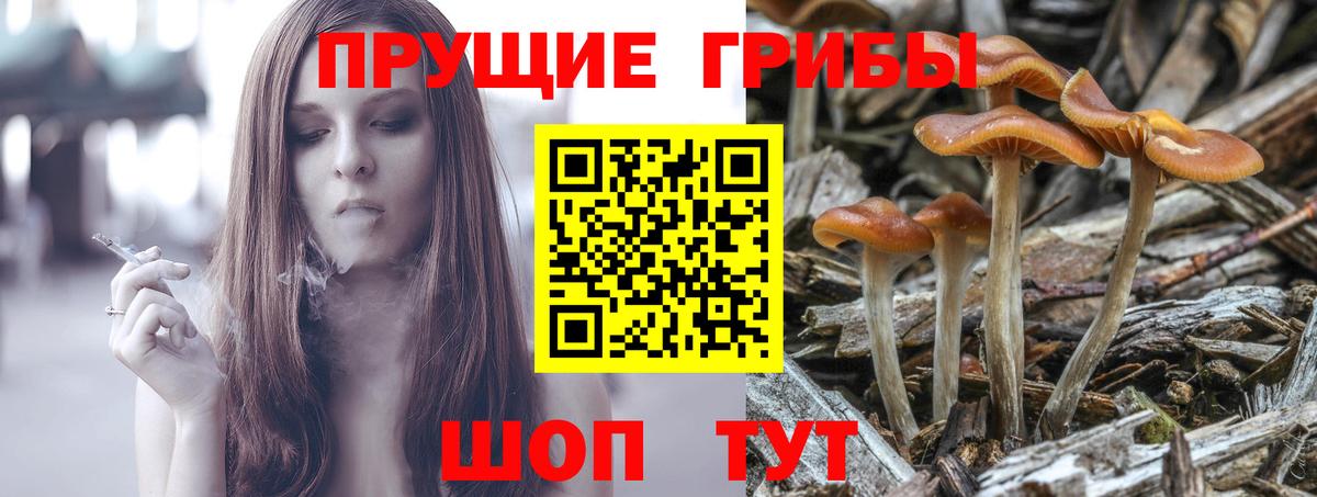 Галлюциногенные грибы ЛСД Ульяновск